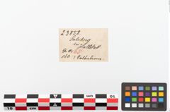 Etiketten zu Bronzespiralröhrchen (NHMW-PRAE-023858)